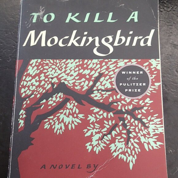 To Kill A Mockingbird Paperback - Picture 1 of 4